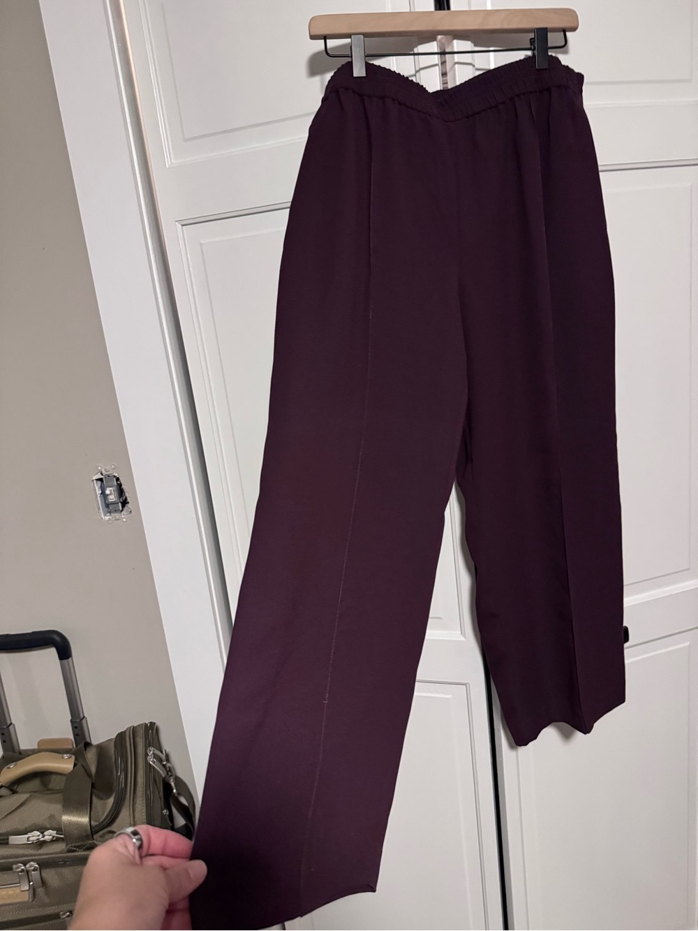Ann Taylor Wide-Leg Pants in Plum